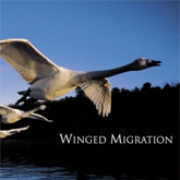 winged